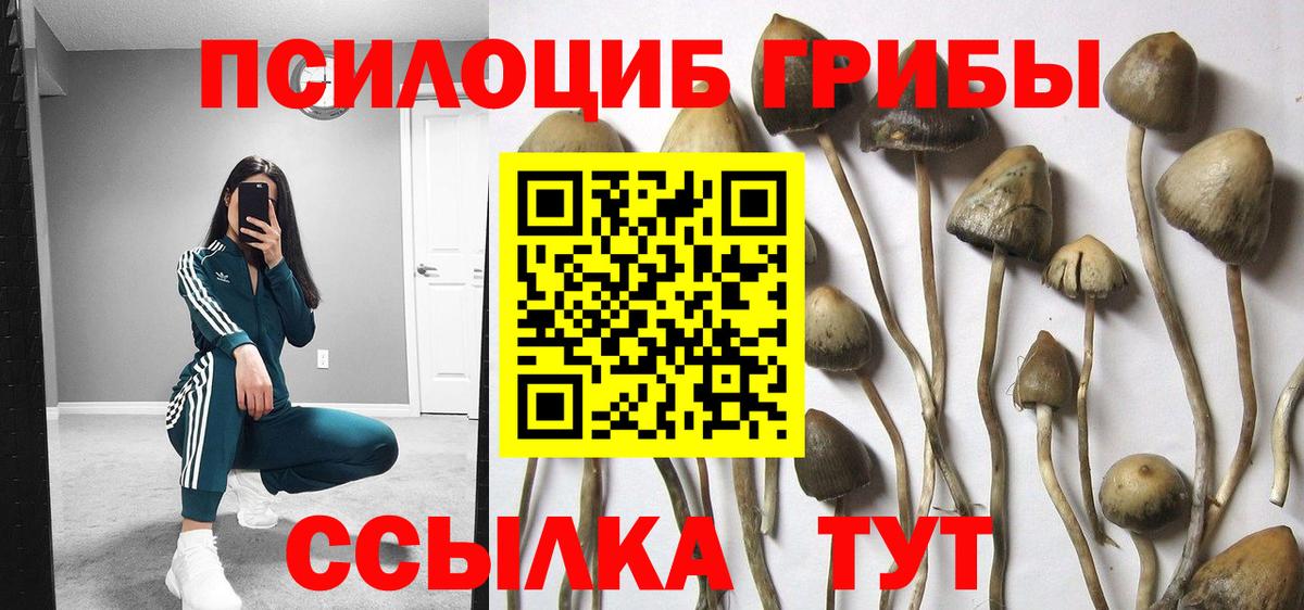 Котлас  Псилоцибиновые грибы GOLDEN TEACHER  Вход с VPN  Псилоцибиновые грибы Magic Shrooms 
